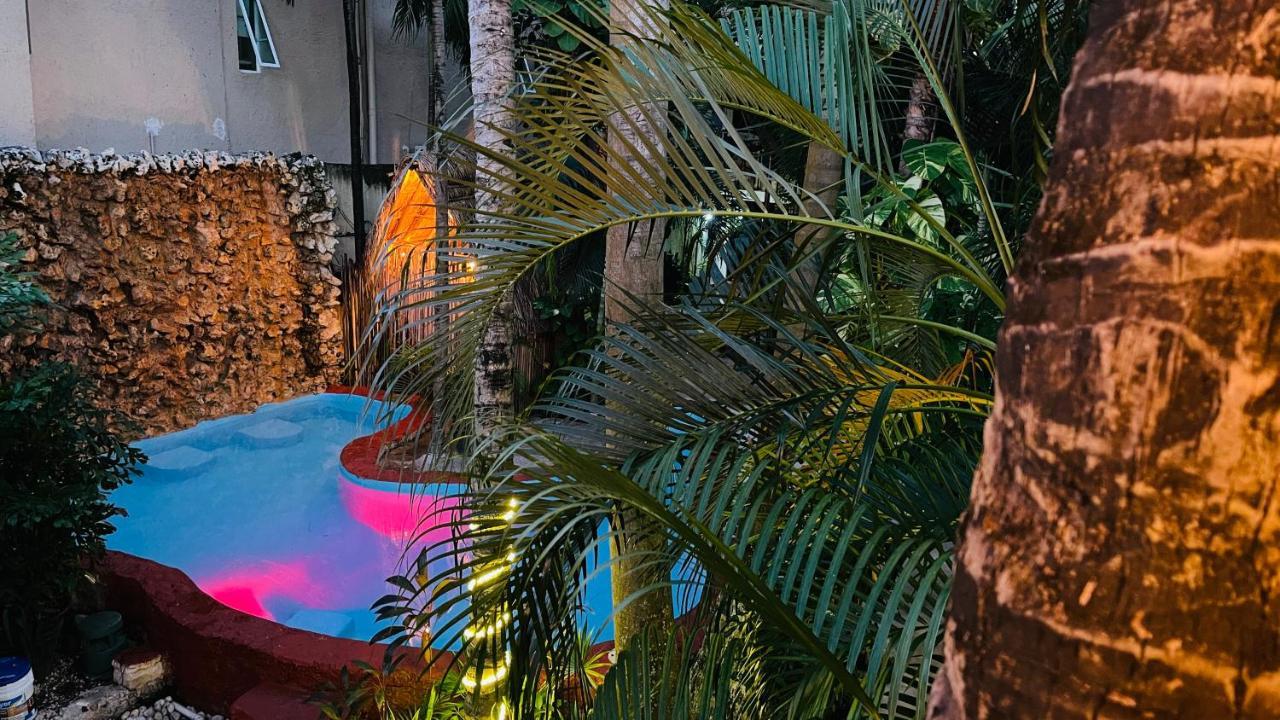 Hotel B&B - 5Th Avenue Playa del Carmen Exterior photo The pool at the 2019 edition of the festival